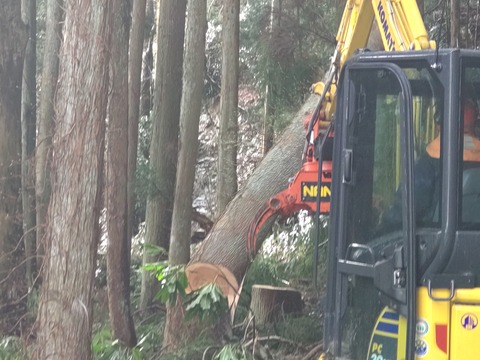 HORIZON_0001_BURST20240322090509457_COVER