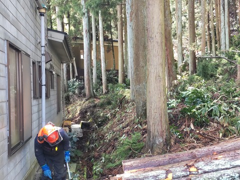 HORIZON_0002_BURST20240322111251198