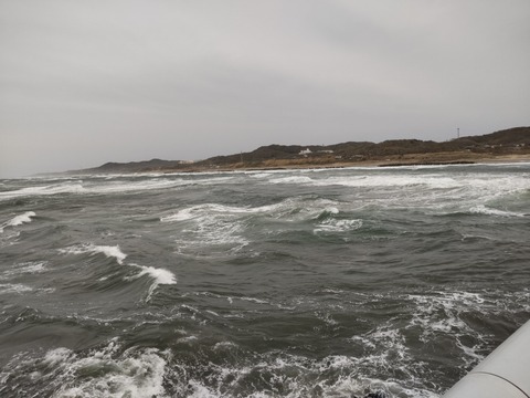 DSC_0490