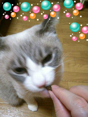 BlogPaint