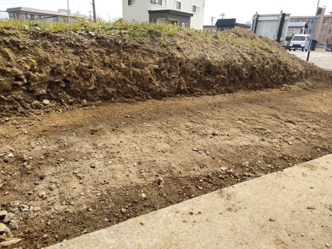 HORIZON_0001_BURST20220424102957646_COVER