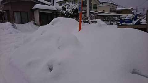 DSC_1712