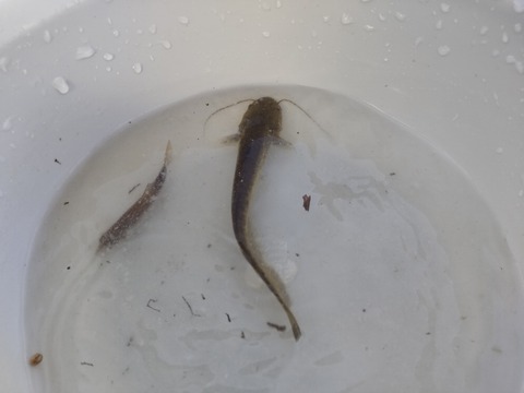 CENTER_0001_BURST20250803070355775_COVER