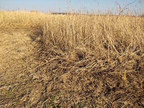 SYMMETRY_0001_BURST20230402161206797_COVER