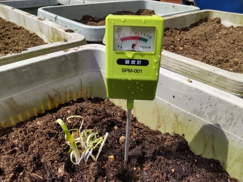 HORIZON_0001_BURST20260325122837783_COVER