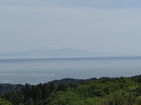 DSC_0033