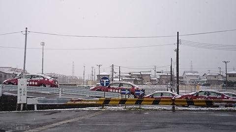 DSC_8181