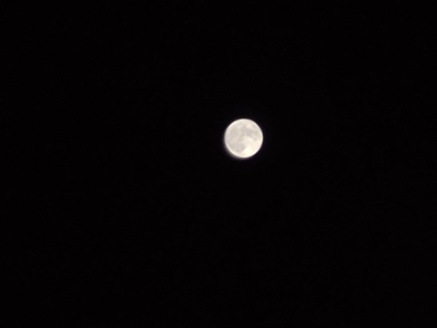 DSC_3406