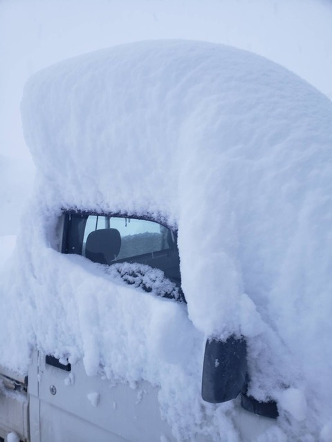 車が雪で埋もれてる 笑 これに比べたら秋田市内の雪はたいしたことないか 猫好き 釣り好き 車好き な不動産屋のエトセトラ