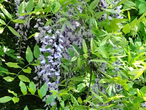 HORIZON_0002_BURST20220518112841680