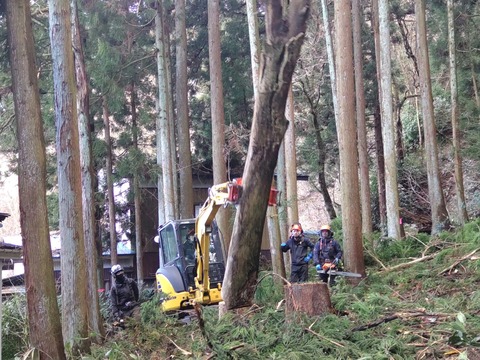 HORIZON_0002_BURST20240322161311859