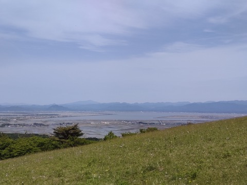 DSC_0036