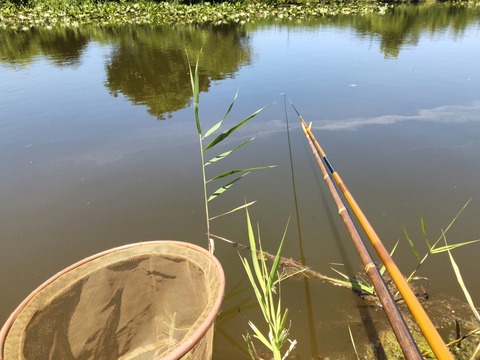 TRIANGLE_0002_BURST20250713115412743