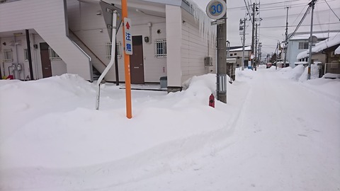 DSC_8568