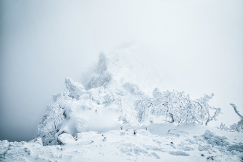 ガスが掛かった雪景色