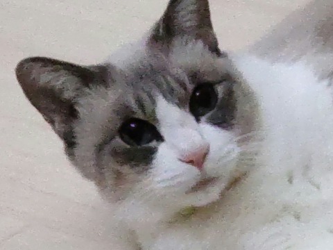 CENTER_0002_BURST20231202125323440