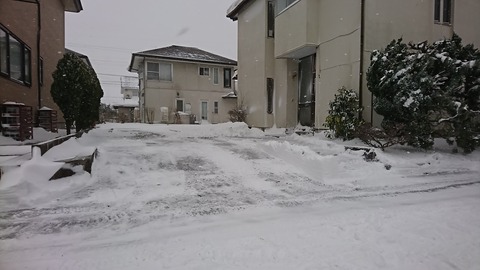 車が雪で埋もれてる 笑 これに比べたら秋田市内の雪はたいしたことないか 猫好き 釣り好き 車好き な不動産屋のエトセトラ