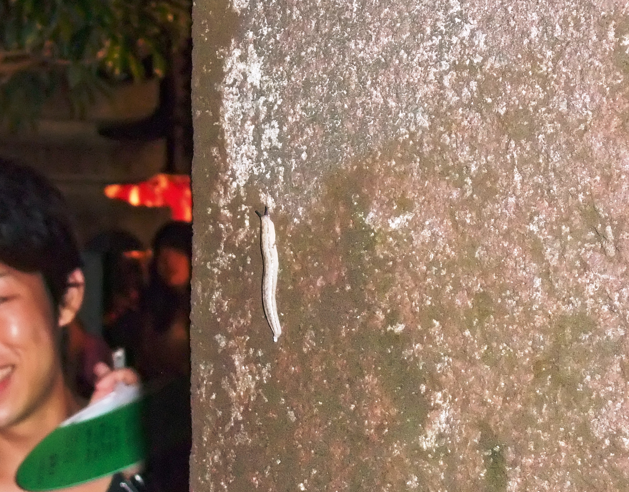 加子母の奇祭 なめくじ祭り に行ってきました 水道屋さんの私的な日報帳