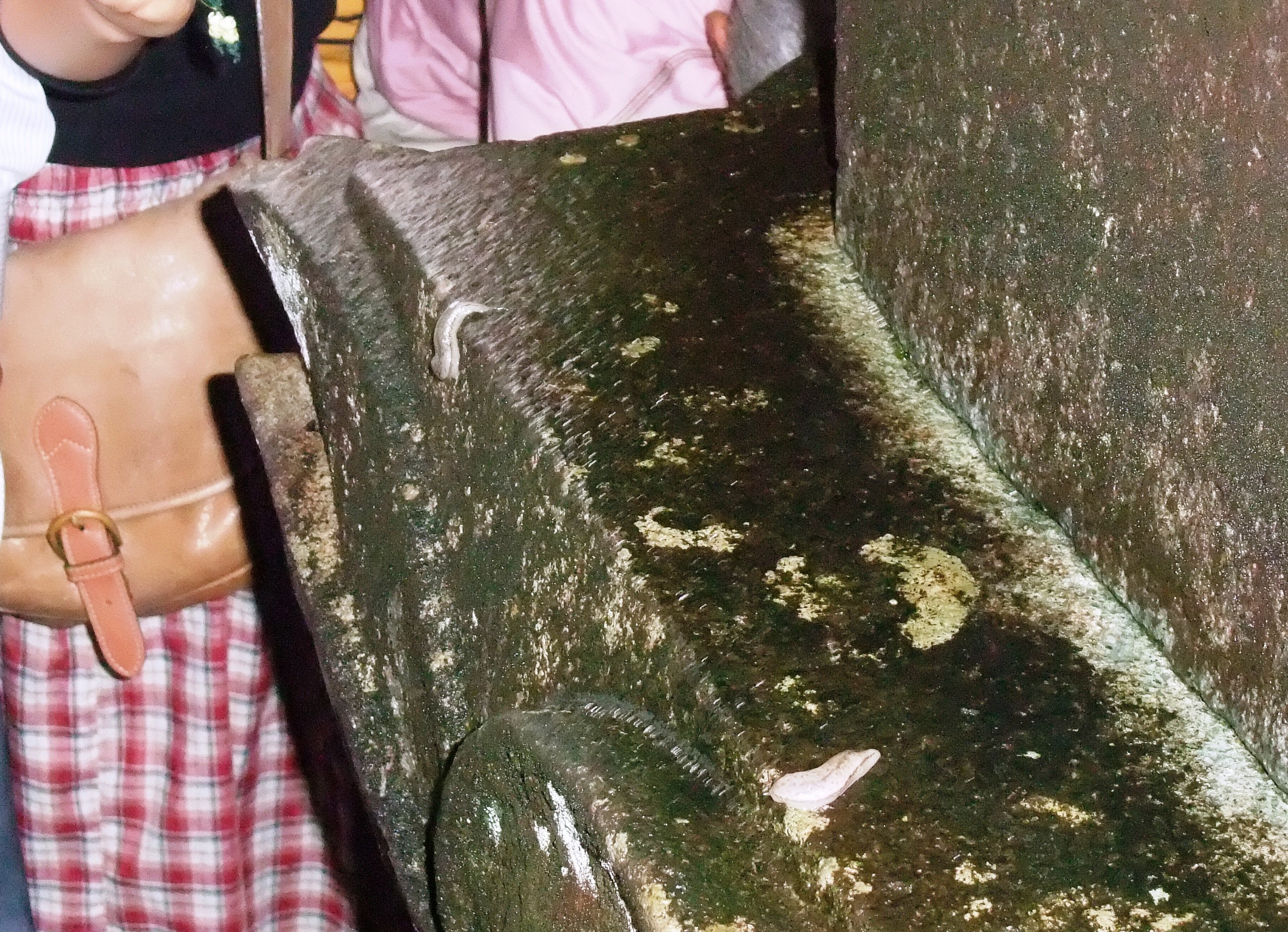 加子母の奇祭 なめくじ祭り に行ってきました 水道屋さんの私的な日報帳