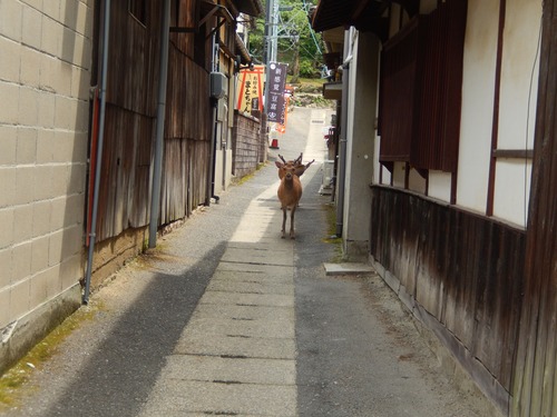 DSCN0417