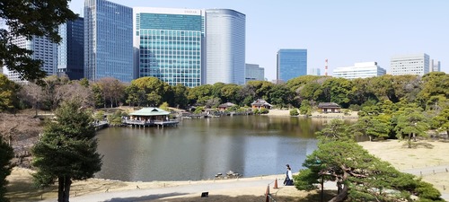 IMG_20230311_140123