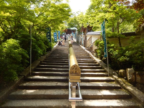 DSCN0373
