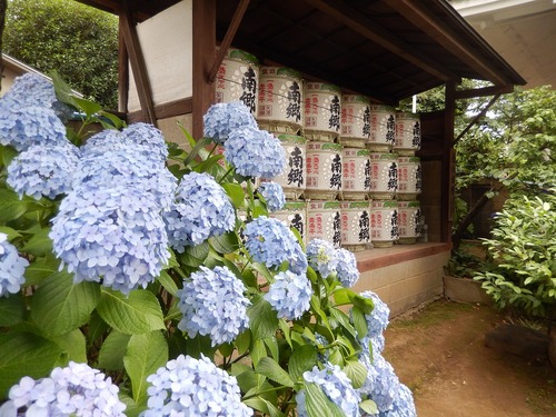 白山神社14