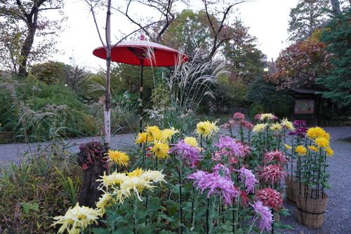 向島百花園7