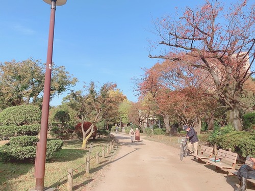 隅田公園2