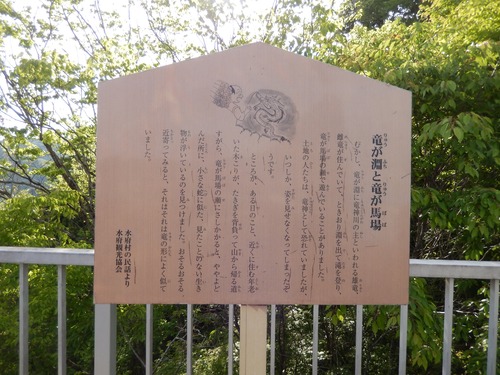 DSCN9234