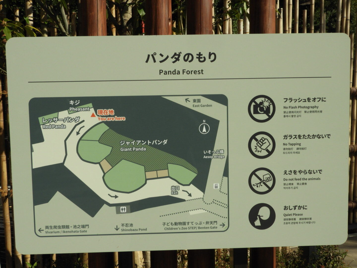 Ryoko Blog 墨田区ｏｌ通販物語 パンダのもり 上野動物園 Livedoor Blog ブログ