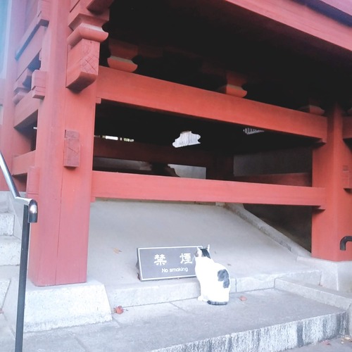 護国寺12