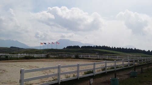 乗馬