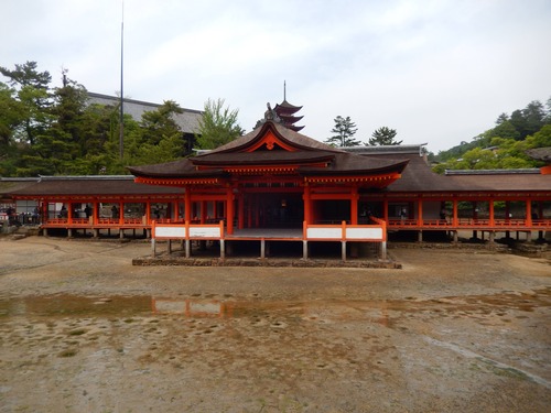 DSCN0451
