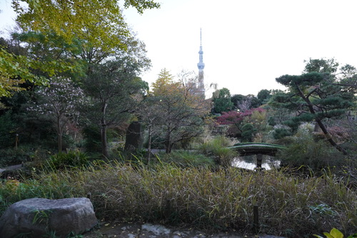 向島百花園3