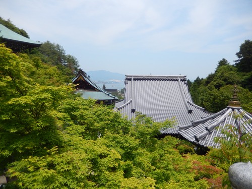 DSCN0396