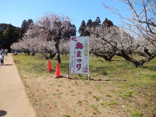 DSCN9607