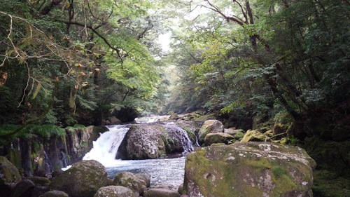 菊池渓谷2