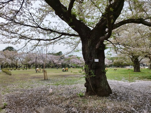 蟆城≡莠募・蝨箪IMG_20250411_144821