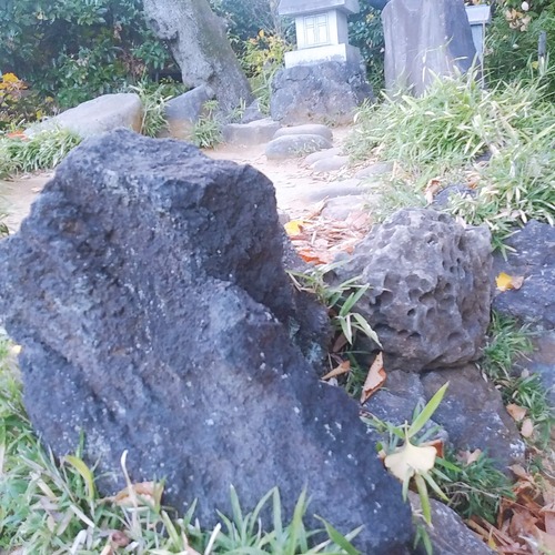 護国寺11