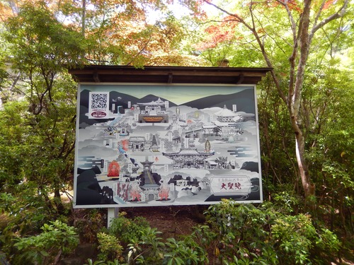 DSCN0368