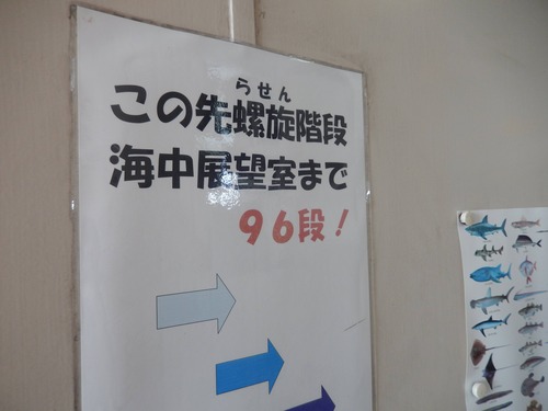 DSCN9481