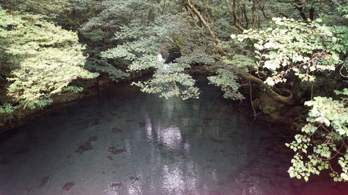 菊池渓谷3