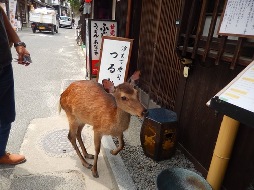 DSCN0427