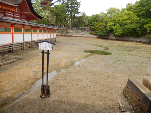 DSCN0452