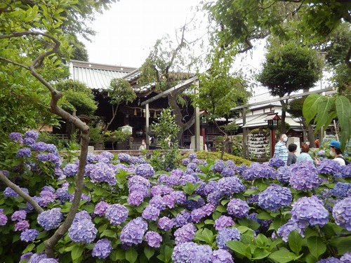 白山神社16