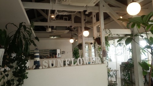 sunflower入口