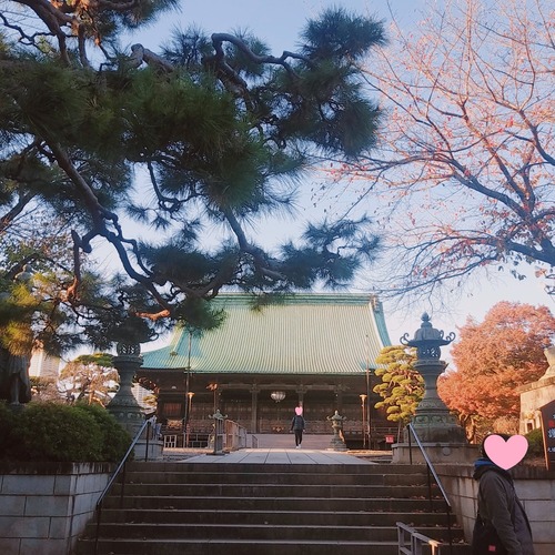 護国寺3