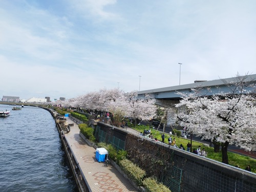 IMG_20240407_120005_BURST1