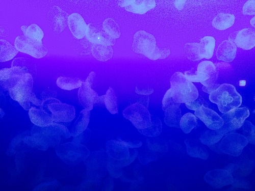 写真 2016-03-12 13 30 40